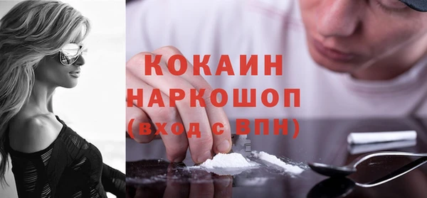 молекула духа Ладушкин