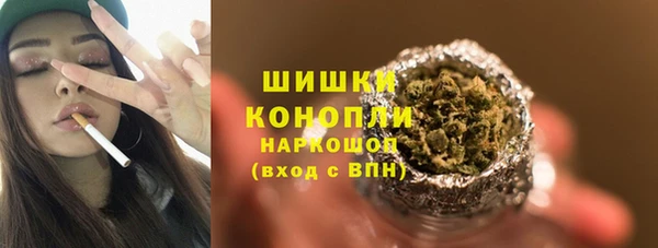 молекула духа Ладушкин