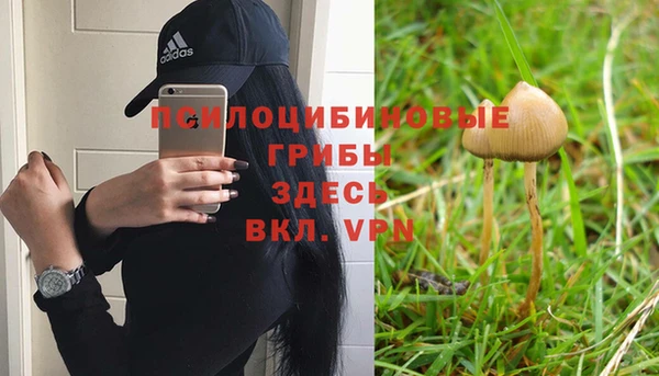 прущий лед Липки
