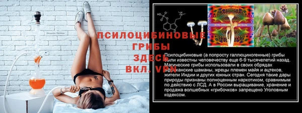 прущий лед Липки