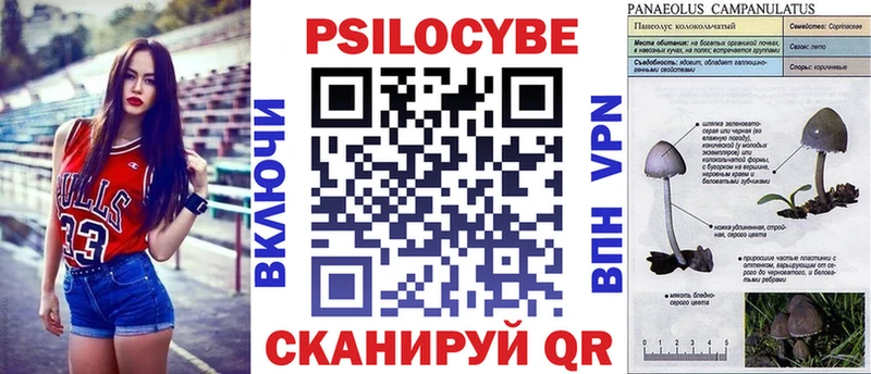 Купить  Алексин  Псилоцибиновые грибы Magic Shrooms 